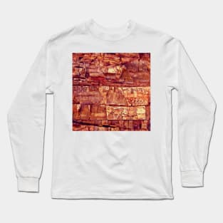 Petrified Wood Long Sleeve T-Shirt